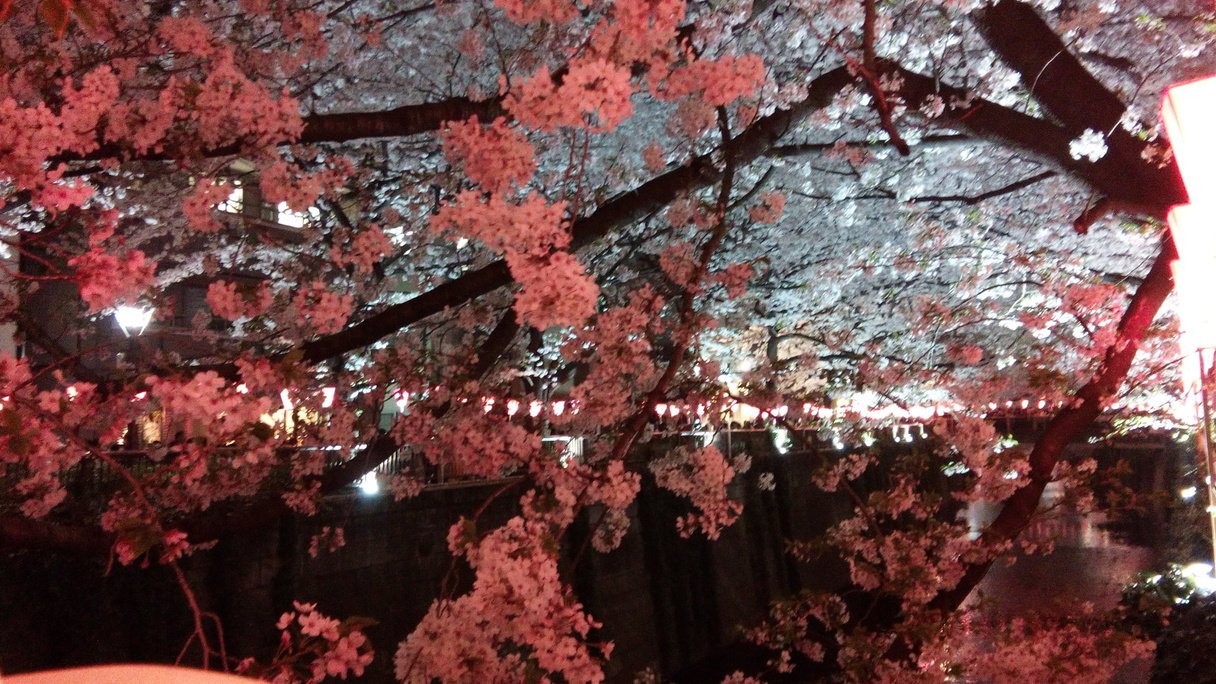 hanami